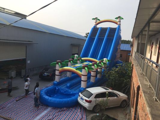 Coconut Tree Inflatable Double Water Slide With Splash Pool SGS Certificate